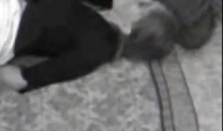 Facet liże dupę i pieprzy rudą. amatorskie filmy erotyczne za darmo